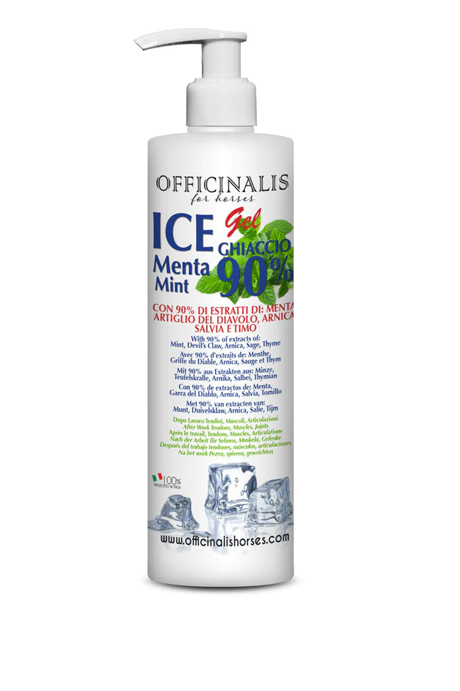 ICE-GEl_250ML