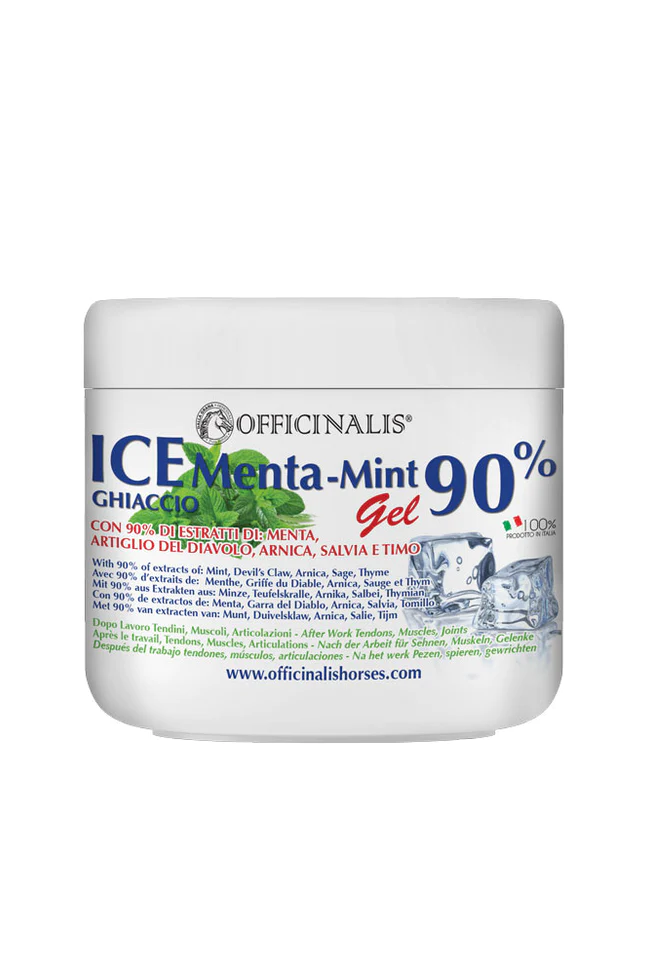 ICE-GEl_500ML